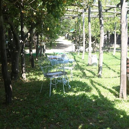 Emy'S Country House Apartment Castellammare di Stabia Bagian luar foto