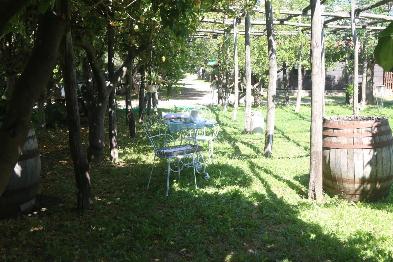 Emy'S Country House Apartment Castellammare di Stabia Bagian luar foto