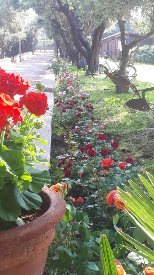 Emy'S Country House Apartment Castellammare di Stabia Bagian luar foto